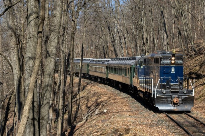 a train traveling down train tracks near a forest